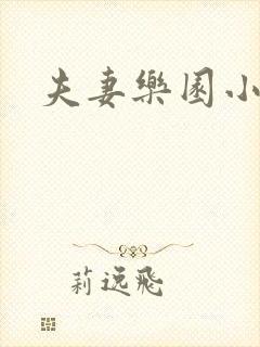 夫妻乐园小说封面