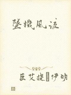 坠机风流封面