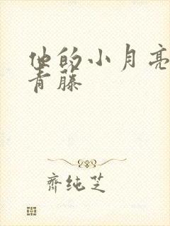 他的小月亮by青藤