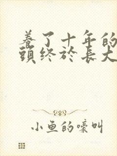 养了十年的小丫头终于长大了