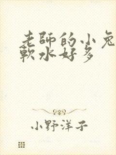 老师的小兔子好软水好多封面