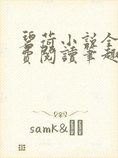碧荷小说全文免费阅读笔趣阁