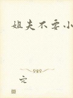 姐夫不要小说