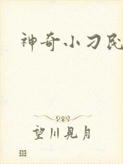 神奇小刁民