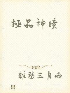 极品神瞳