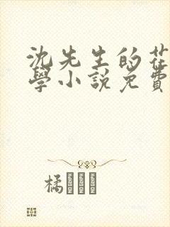 沈先生的花式教学小说免费