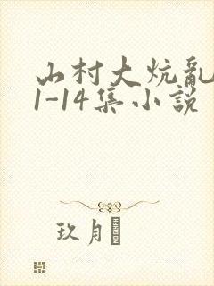 山村大炕乱肉续1-14集小说