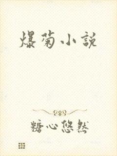 爆菊小说