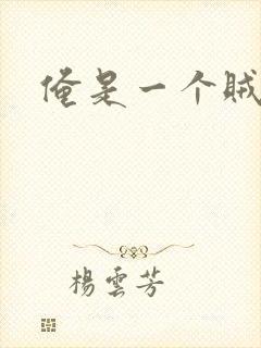 俺是一个贼