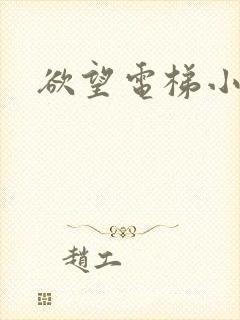 欲望电梯小说