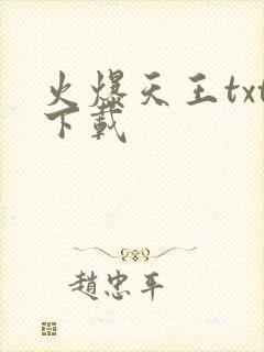 火爆天王txt下载