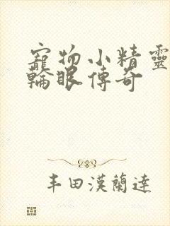 宠物小精灵之写轮眼传奇