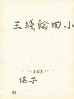 三线轮回小说封面