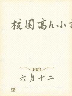 校园高h小说