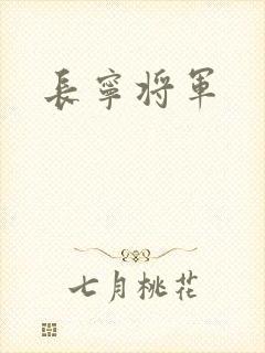 长宁将军