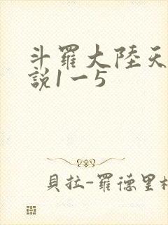 斗罗大陆天狂传说1一5