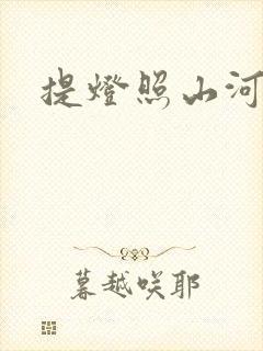 提灯照山河