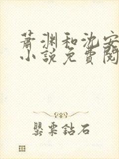 萧渊和沈安安的小说免费阅读