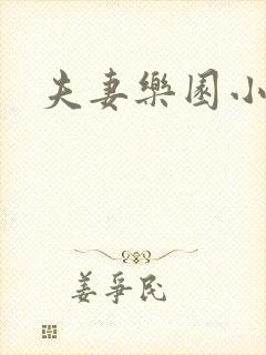 夫妻乐园小说