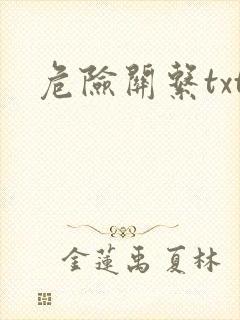 危险关系txt封面
