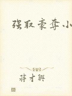 强取豪夺小说