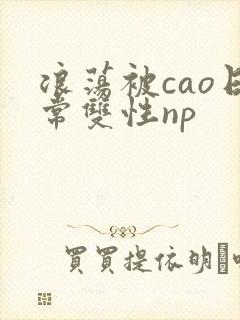 浪荡被cao日常双性np
