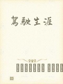 驾驶生涯