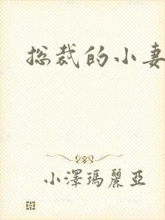 总裁的小妻子封面