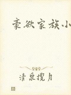 豪欲家族小说封面