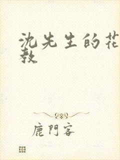 沈先生的花式管教