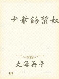 少爷的禁奴