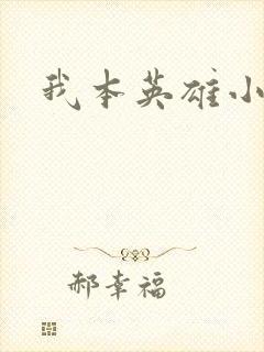 我本英雄小说