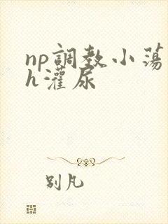 np调教小荡货h灌尿