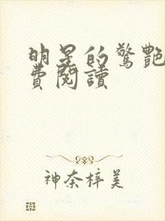 明星的惊艳史免费阅读