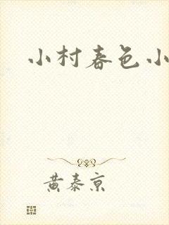 小村春色小说封面