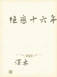 绝恋十六年封面