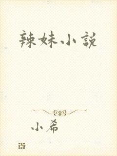 辣妹小说