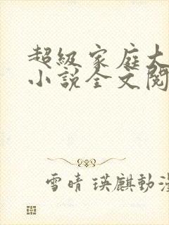 超级家庭大杂烩小说全文阅读封面