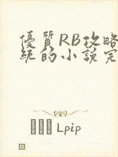 优质RB攻略系统的小说完整版封面