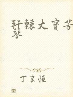轩辕大宝芳菲雅琴