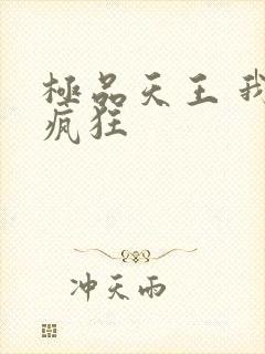 极品天王 我本疯狂
