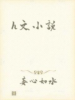 h文小说