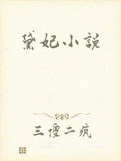 黛妃小说