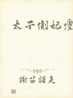 太子侧妃傻乎乎