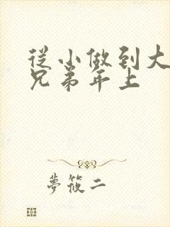 从小做到大骨科兄弟年上