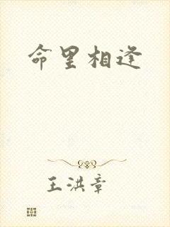 命里相逢封面