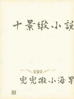 十景缎小说