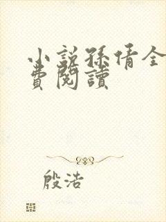小说孙倩全文免费阅读封面