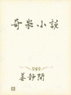 奇米小说封面