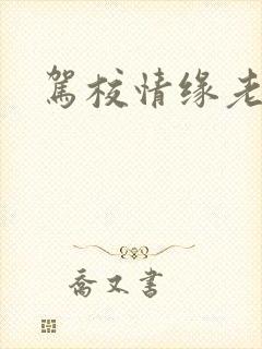 驾校情缘老赵